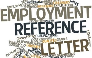 employment reference
