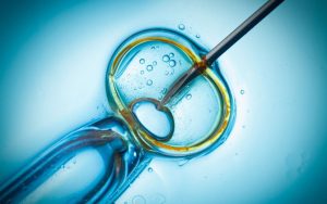 employees rights for IVF