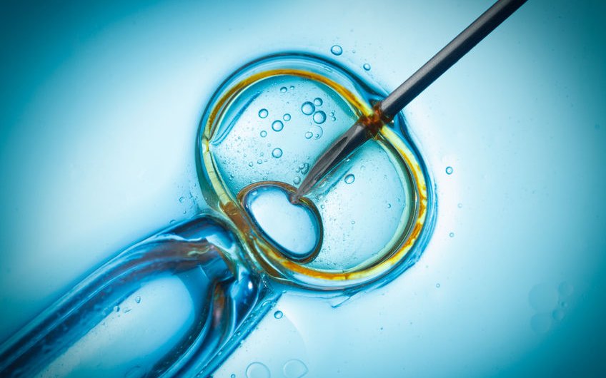 Employees’ rights while undergoing IVF
