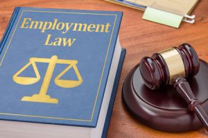 employment law support